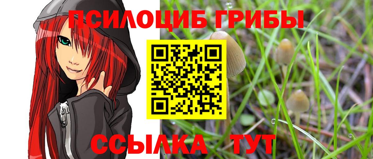 Сунжа  Псилоцибиновые грибы Magic Shrooms  Вход с VPN 